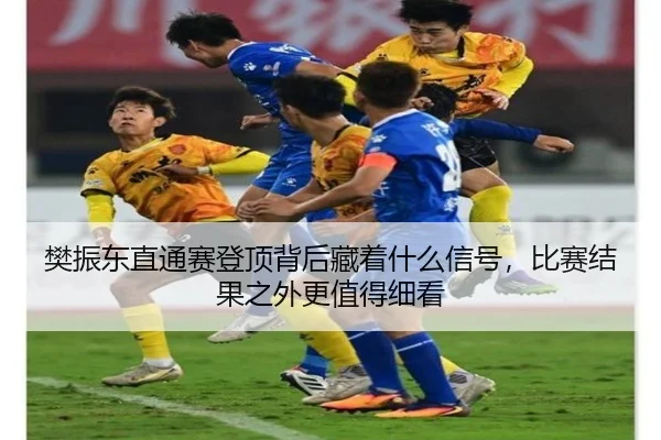 樊振东直通赛登顶背后藏着什么信号，比赛结果之外更值得细看